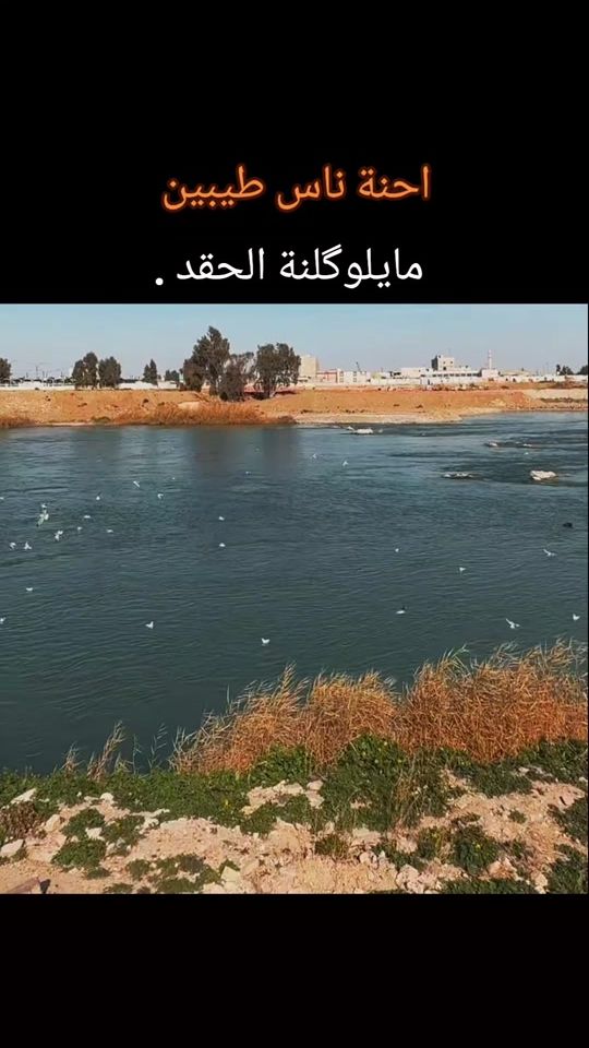 TikTok video thumbnail by s.2000.m