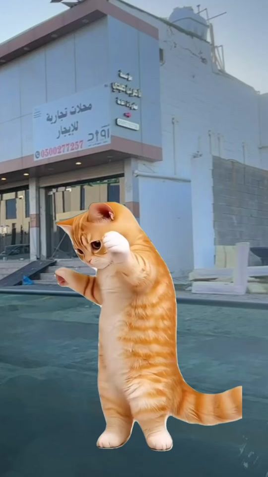 TikTok video thumbnail by aa_bda511