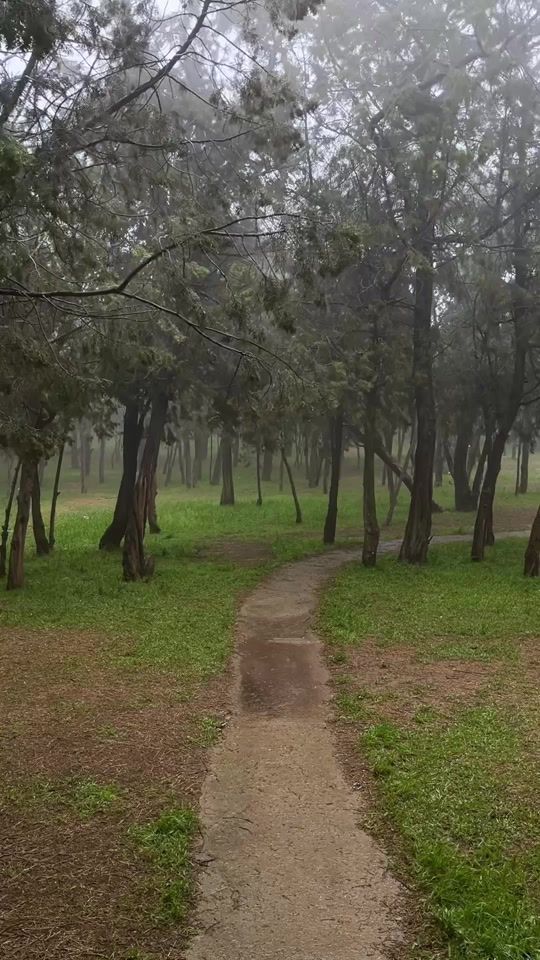 TikTok video thumbnail by r.3rp