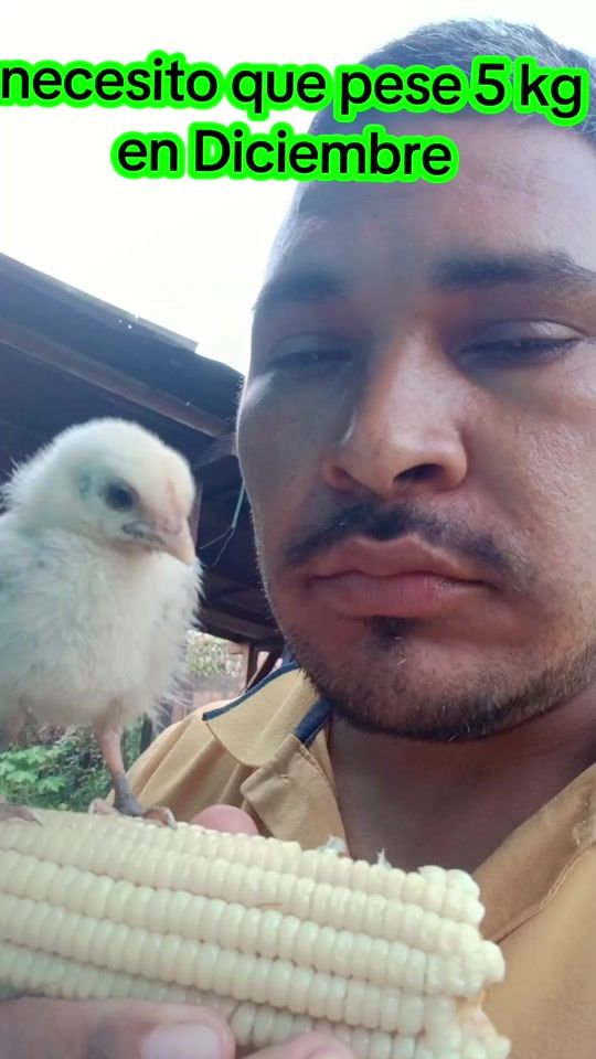 TikTok video thumbnail by roger.ramrez34