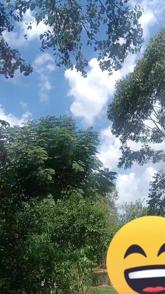 TikTok video thumbnail by rocio.i5