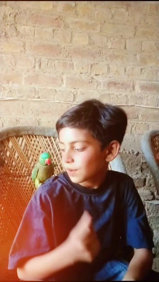 TikTok video thumbnail by ali_amaan110