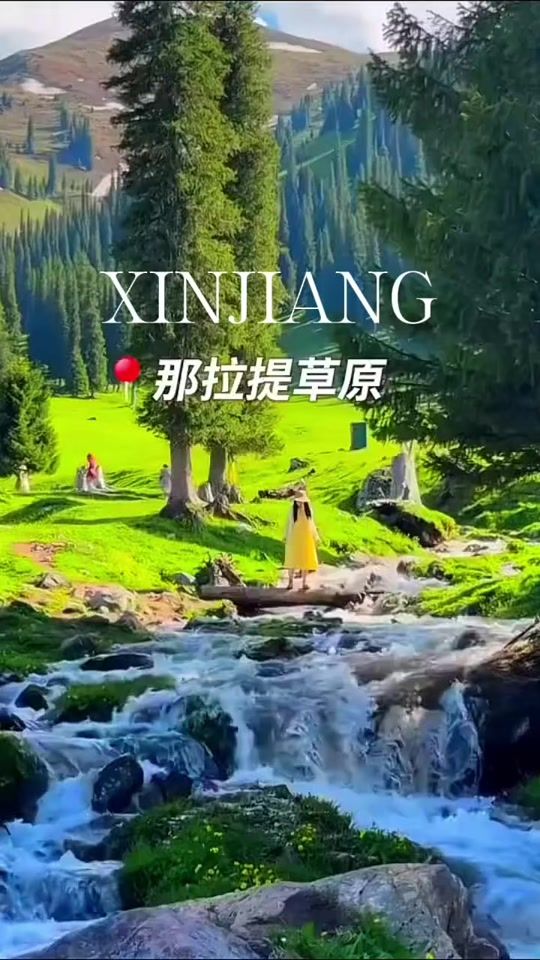 TikTok video thumbnail by w_a_n_g_h_a_o
