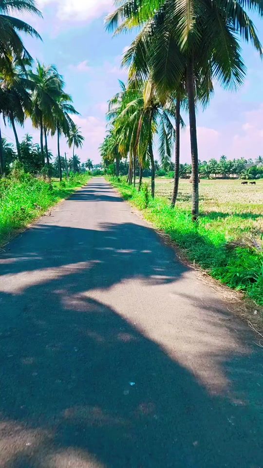 TikTok video thumbnail by ampchinni7