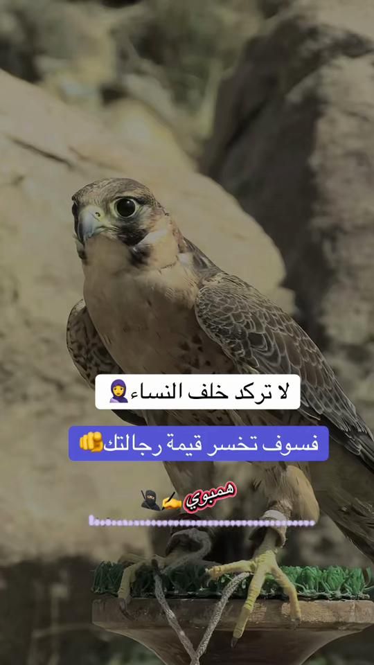 TikTok video thumbnail by httpsvt.tiktok.comzsmva8