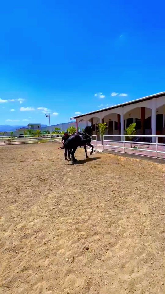 TikTok video thumbnail by david.padilla159