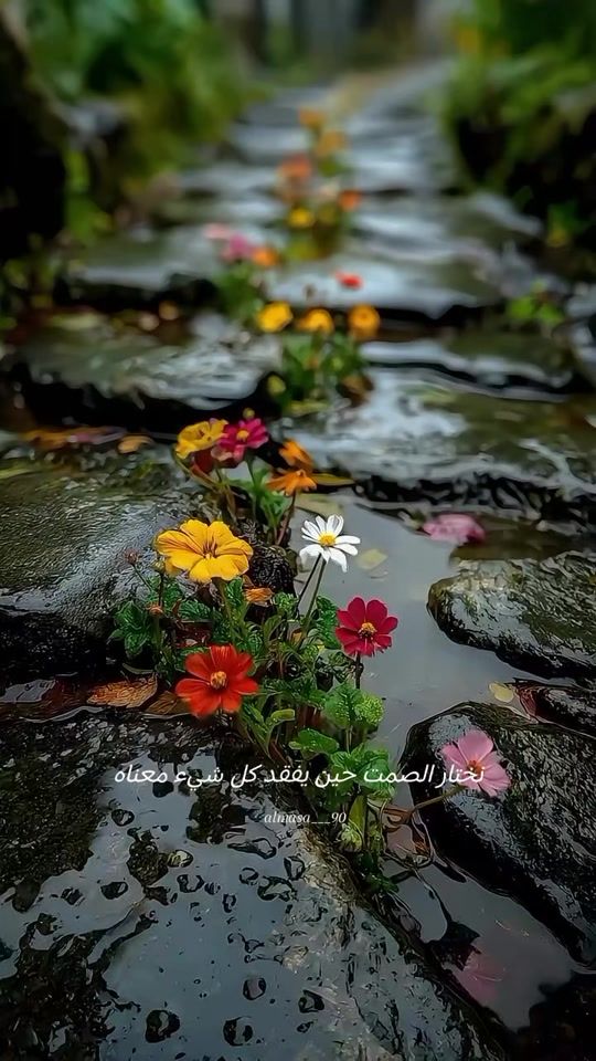 TikTok video thumbnail by almasa___90