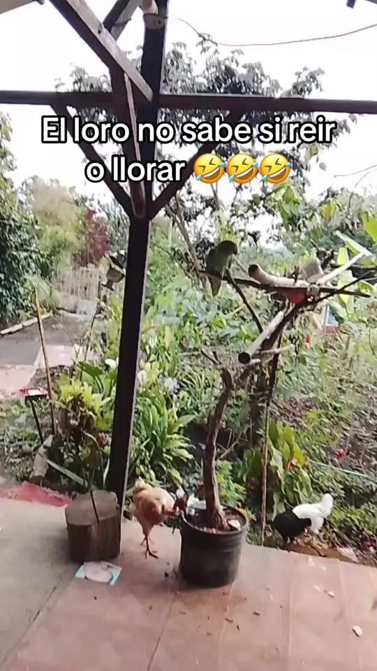 TikTok video thumbnail by sorysotelo
