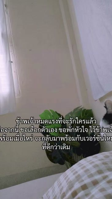 TikTok video thumbnail by storyalone78