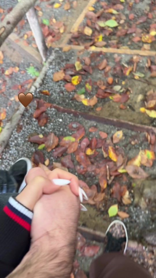 TikTok video thumbnail by djaf.arli