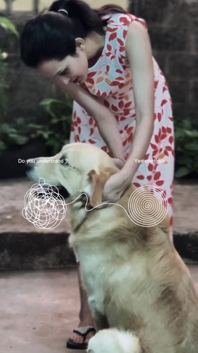TikTok video thumbnail by __h_a_r_i_n_i__
