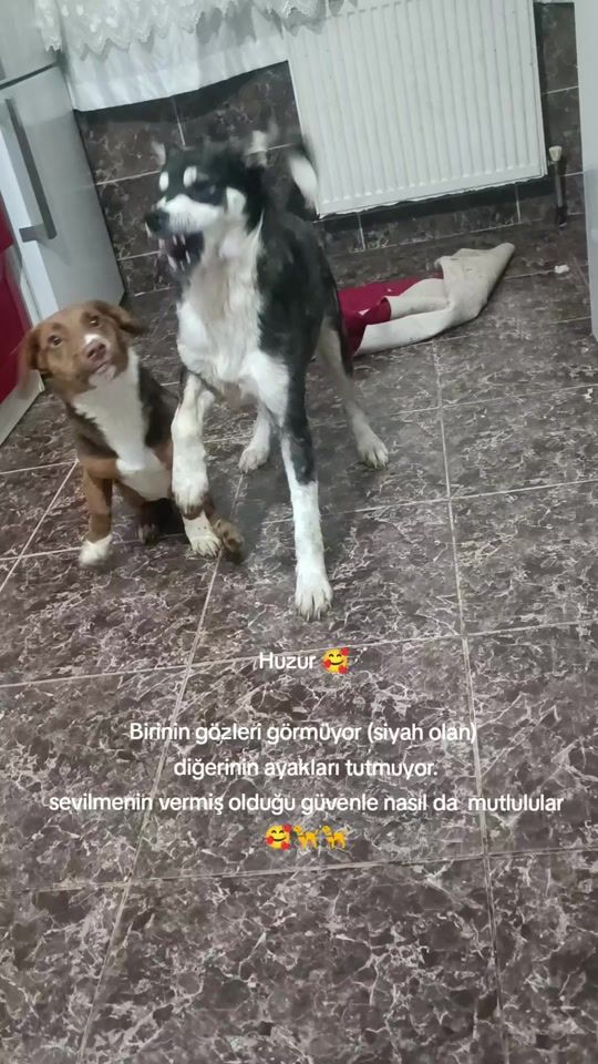 TikTok video thumbnail by inci_mm_1