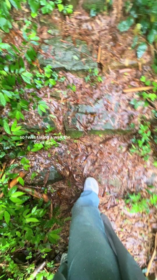 TikTok video thumbnail by enu_96