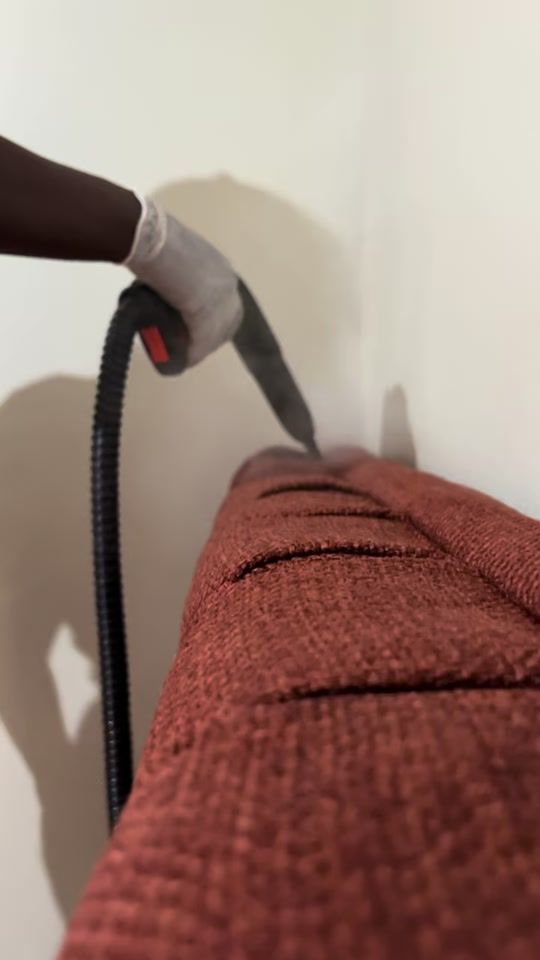 TikTok video thumbnail by oraanfumigation