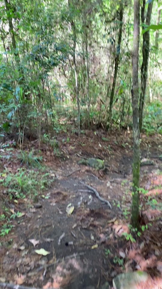 TikTok video thumbnail by mateonoe3