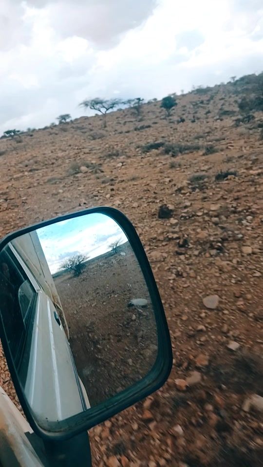 TikTok video thumbnail by wiildarwiisha45