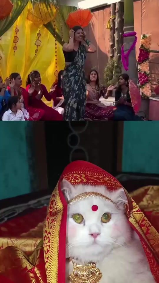 TikTok video thumbnail by mamun1726