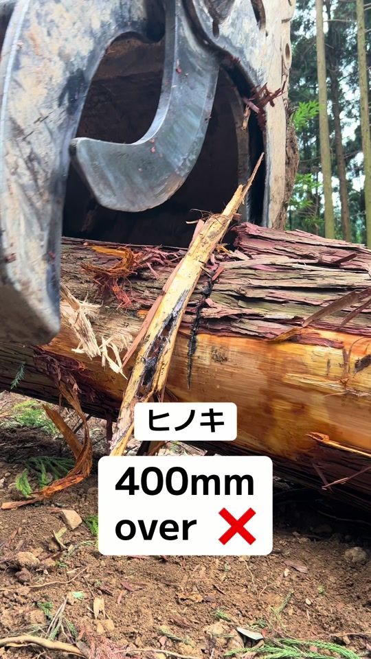 TikTok video thumbnail by takemoto.forest