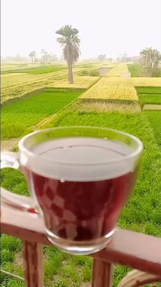 TikTok video thumbnail by eashiqatalqahwa.2