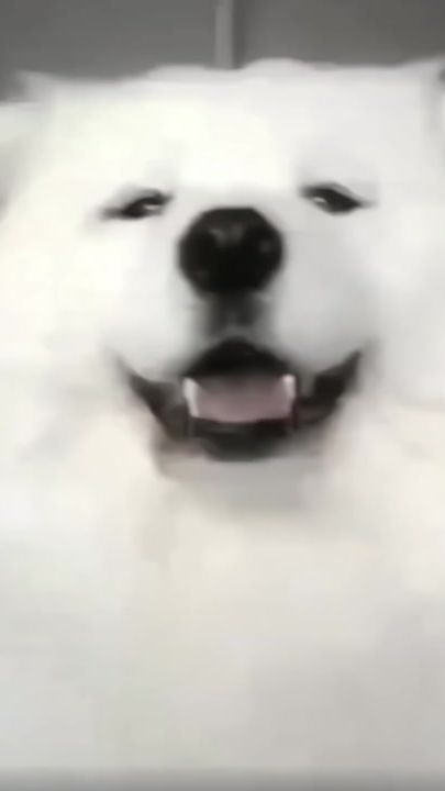TikTok video thumbnail by mxbuszz_
