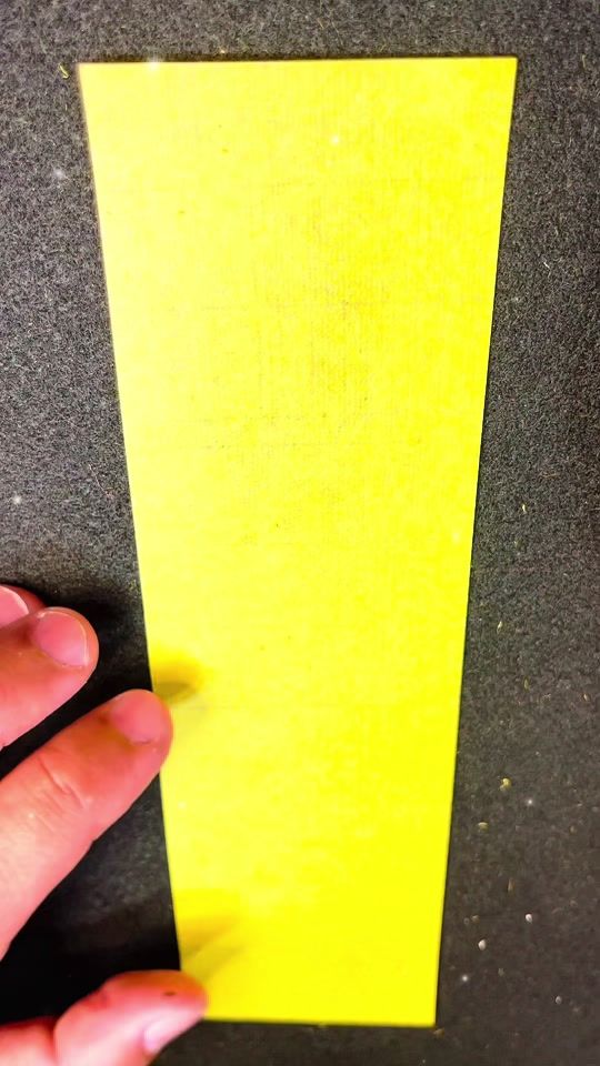 TikTok video thumbnail by wesleyjiang1210