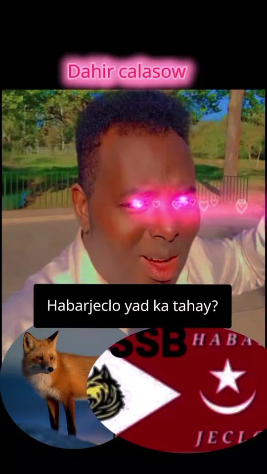 TikTok video thumbnail by mcarey2