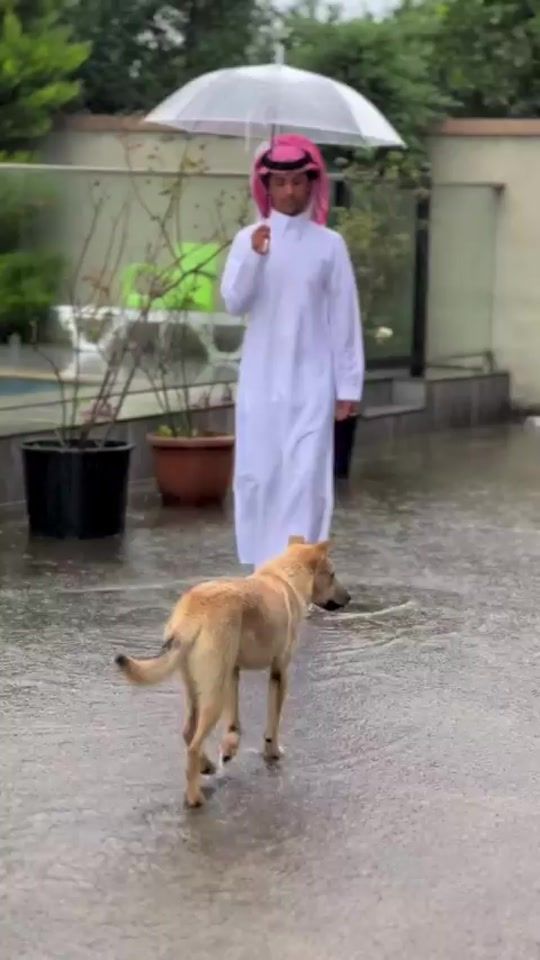 TikTok video thumbnail by user393322