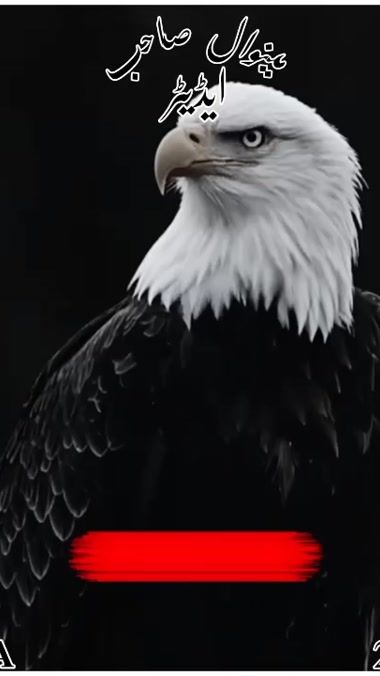 TikTok video thumbnail by maniwal.saab