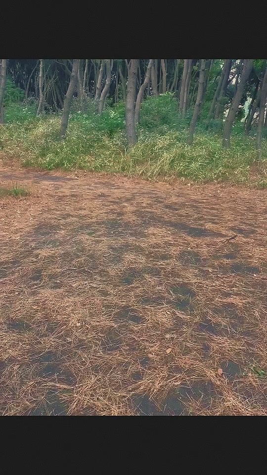 TikTok video thumbnail by koga_sousou