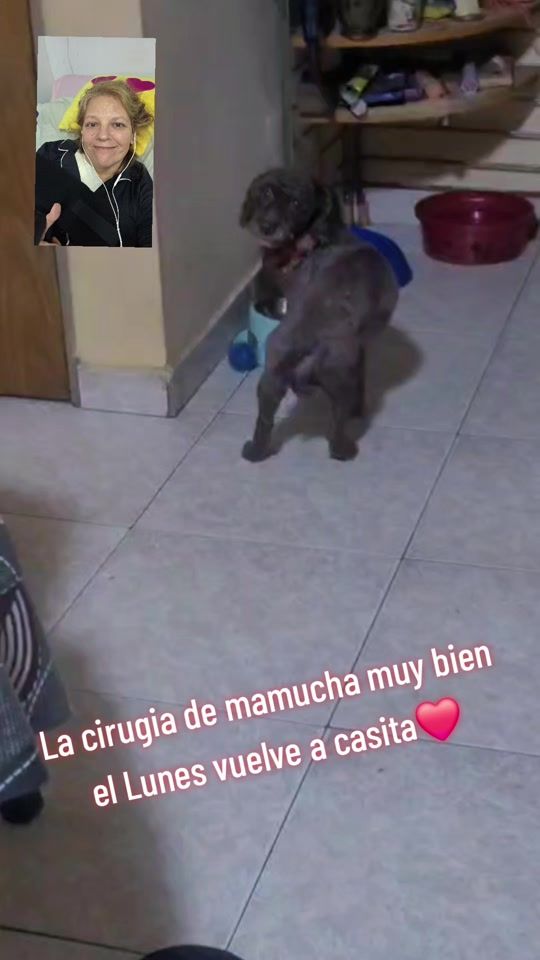 TikTok video thumbnail by tommysimonlostiktokeros