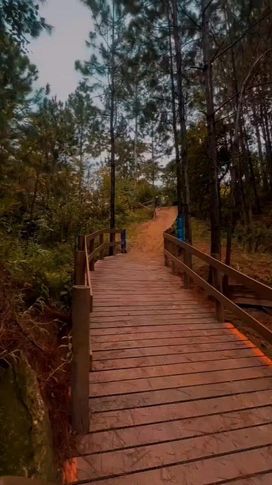TikTok video thumbnail by ale.perer