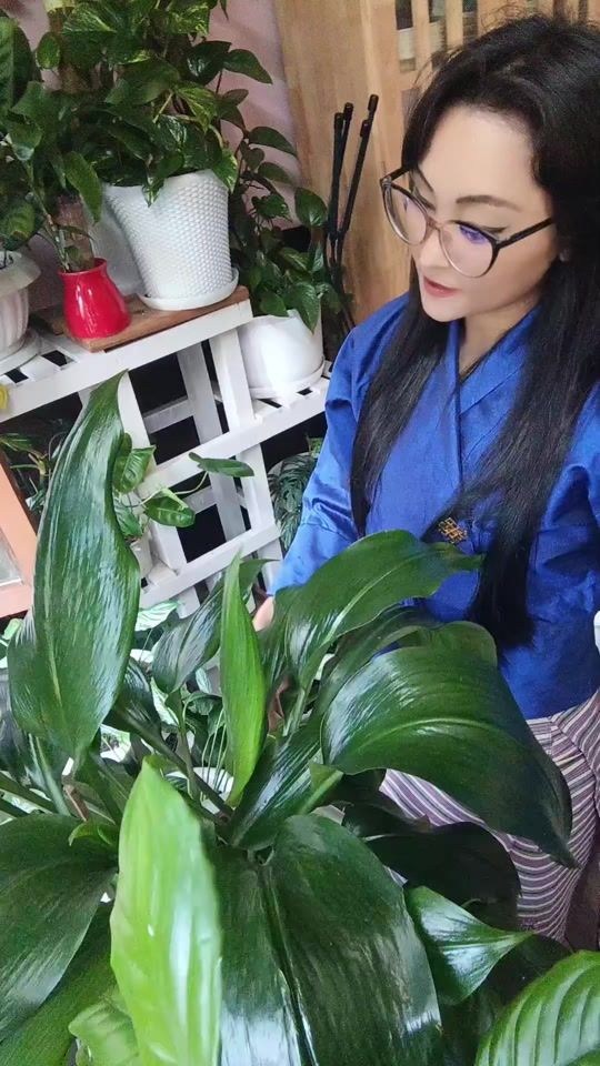 TikTok video thumbnail by menchubum143