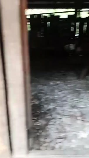 TikTok video thumbnail by tuongbarbertraining