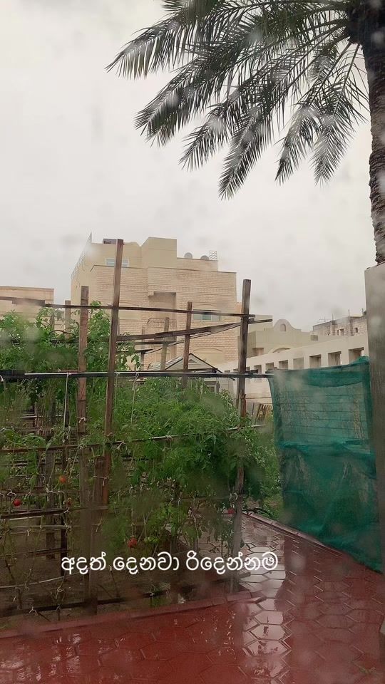 TikTok video thumbnail by s.lakshitha7