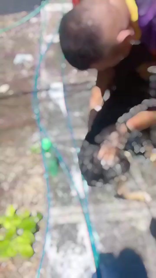 TikTok video thumbnail by nimrodjared