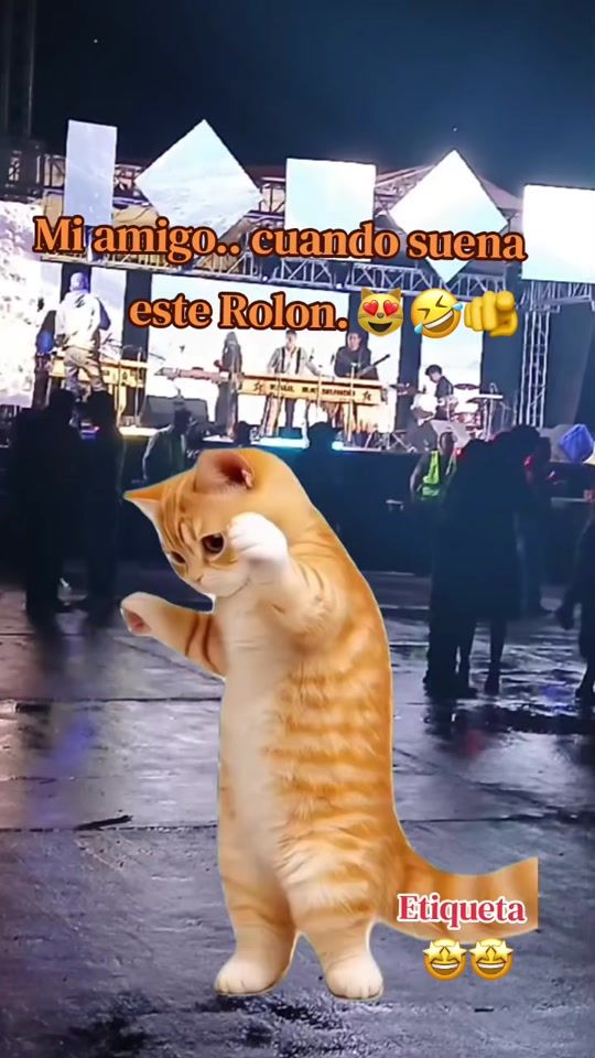 TikTok video thumbnail by elchiko_sad
