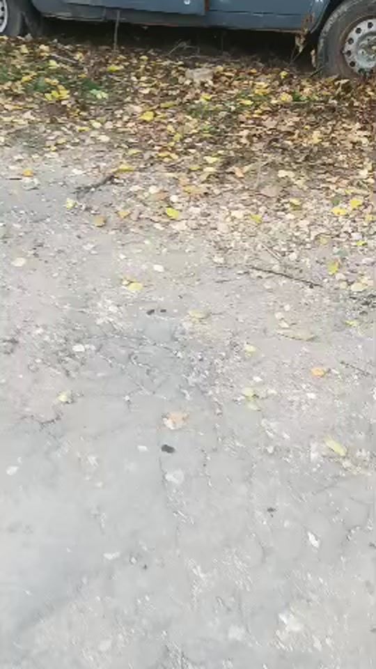 TikTok video thumbnail by sova1994t