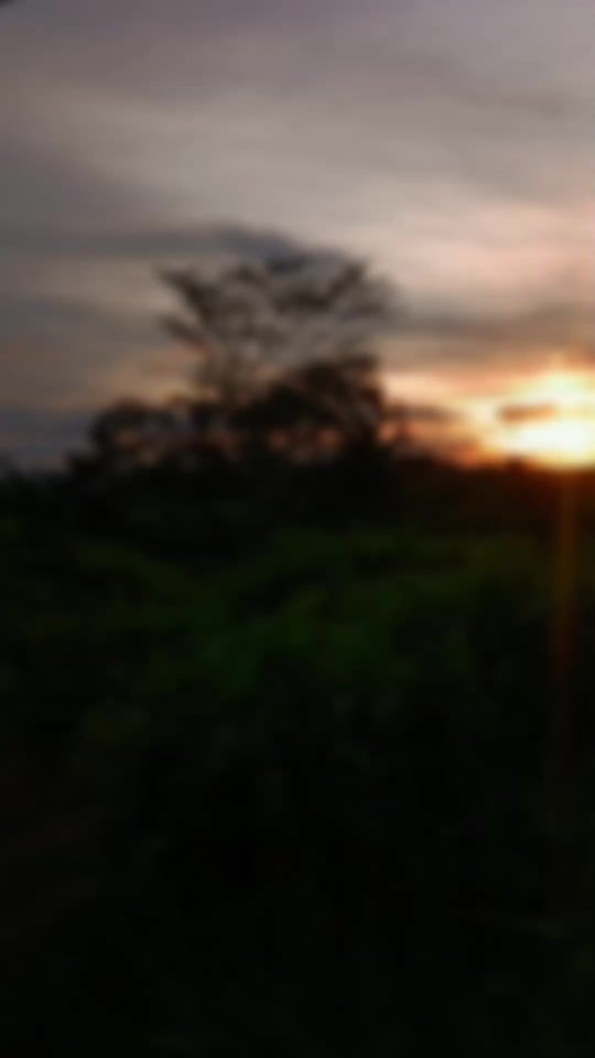 TikTok video thumbnail by shy_ort