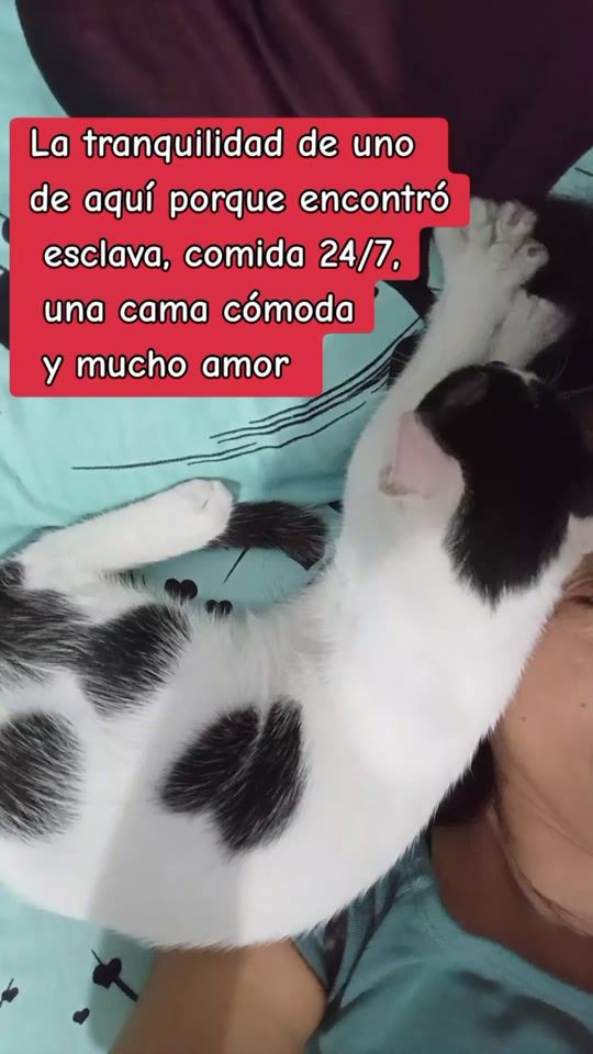 TikTok video thumbnail by alexandra.f.r