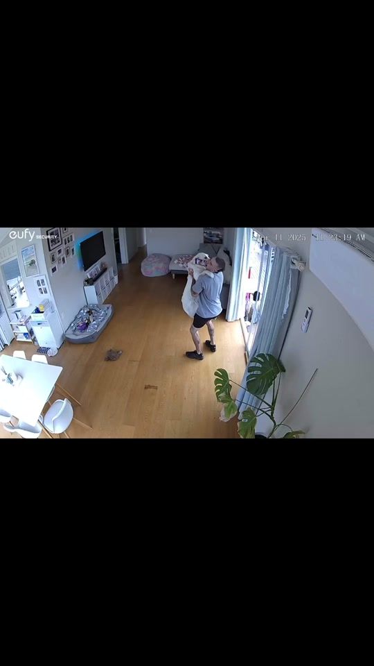 TikTok video thumbnail by dentedgarage