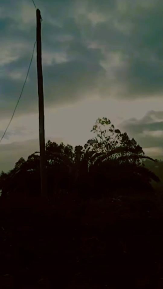 TikTok video thumbnail by magia8eli