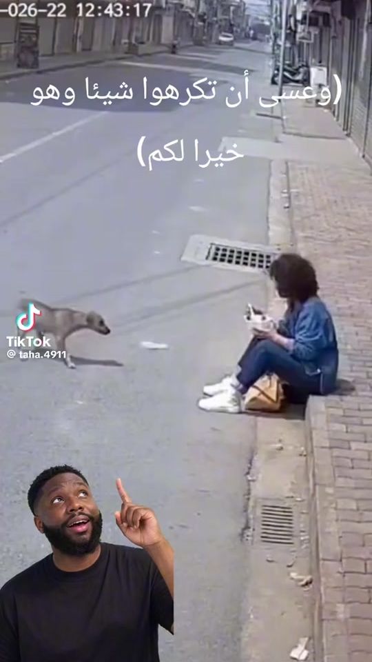 TikTok video thumbnail by fatmhvpc1e6