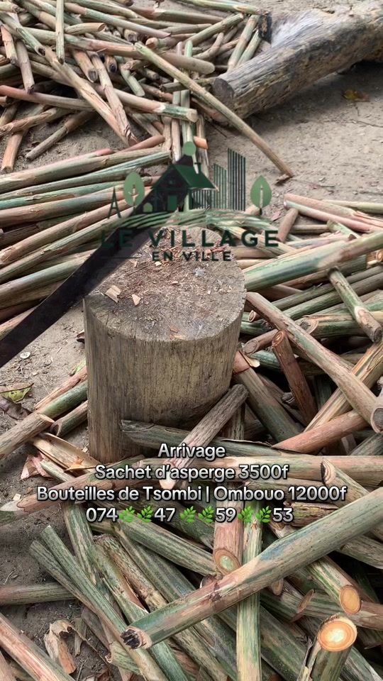 TikTok video thumbnail by levillageenville