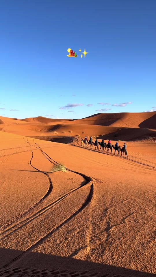 TikTok video thumbnail by desert_with_omar