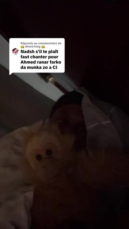 TikTok video thumbnail by nadish.idi