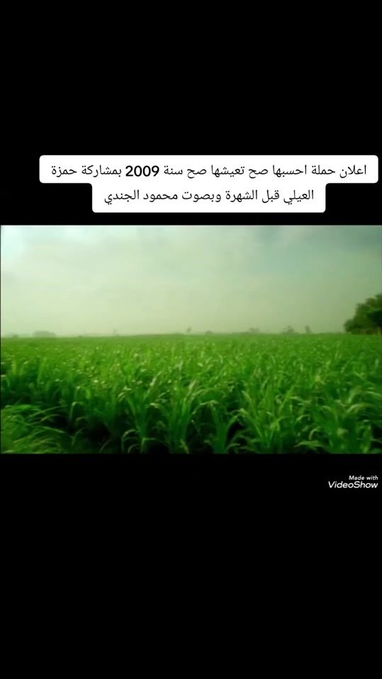TikTok video thumbnail by levelthemonster