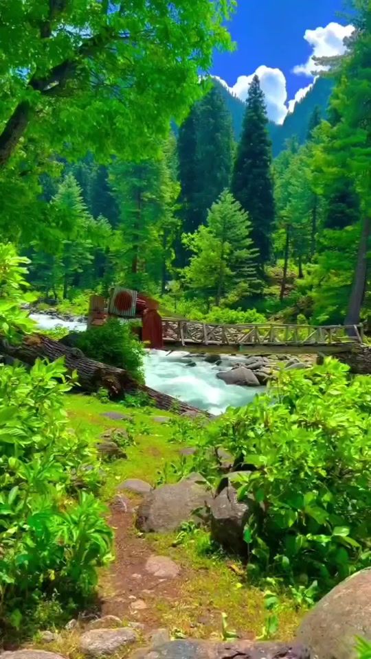 TikTok video thumbnail by 199haider