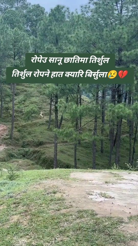 TikTok video thumbnail by sushila_121