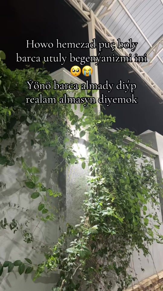TikTok video thumbnail by ios_com_back1