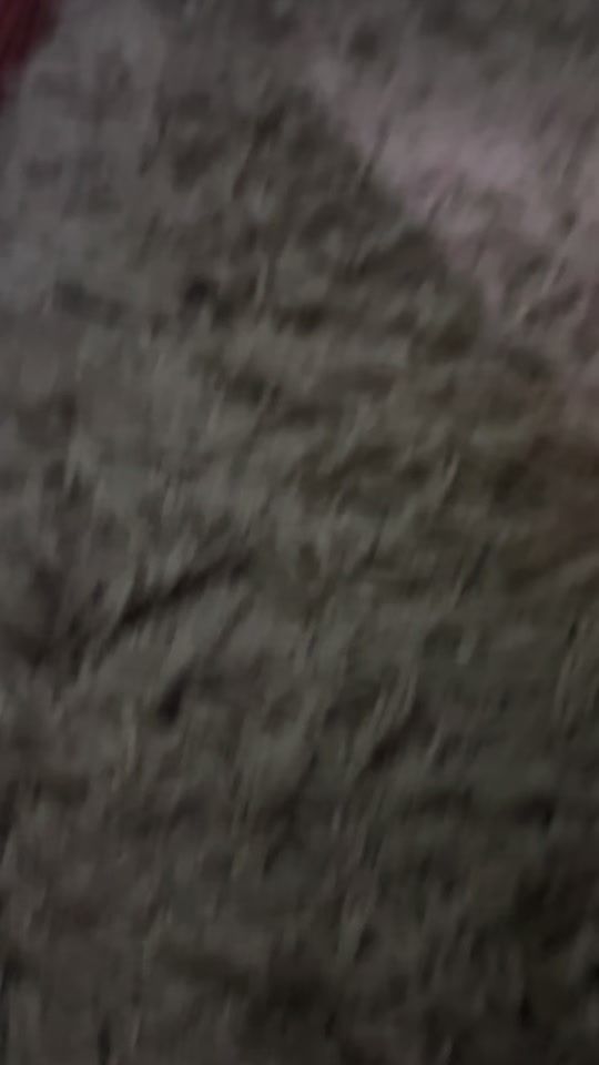 TikTok video thumbnail by princedavido127